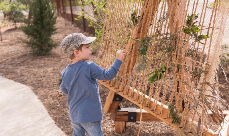 San Antonio Botanical Garden Society Inc