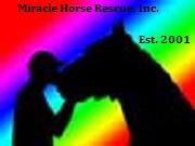 Miracle Horse Rescue, Inc.