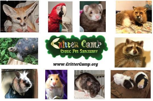 Critter Camp Exotic Pet Sanctuary