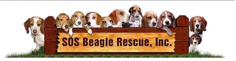 SOS Beagle Rescue Inc