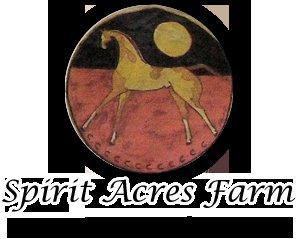 Spirit Acres Farm Equine Rescue and Sanctuary