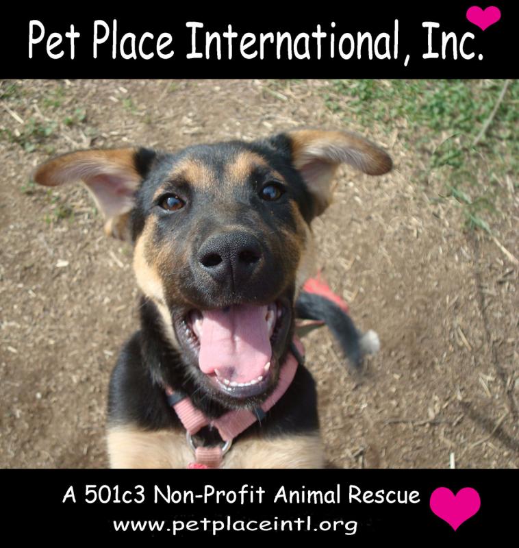 Pet Place International Inc