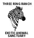 Three Ring Ranch, Inc.