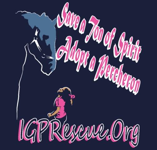 Iron Gait Percherons Inc. - Draft Horse Rescue