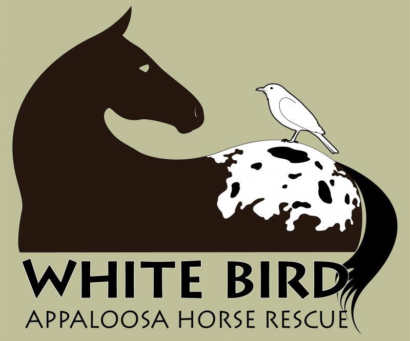 White Bird Appaloosa Horse Rescue