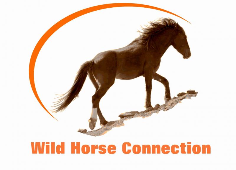 Wild Horse Connection