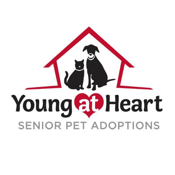 Young At Heart Senior Pet Adoptions (Young at Heart Pet Rescue, Inc.)