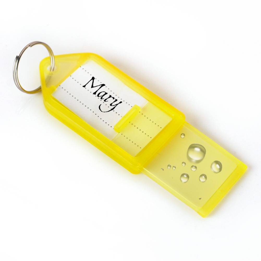 Aspire 100PCS Plastic Key Tags, Key Organization & Identification, Split Ring & Paper Insert for Labeling
