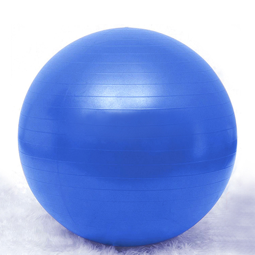 Opentip.com: GOGO 65cm Anti-burst Yoga Ball / Fitness Ball / Exercise ...