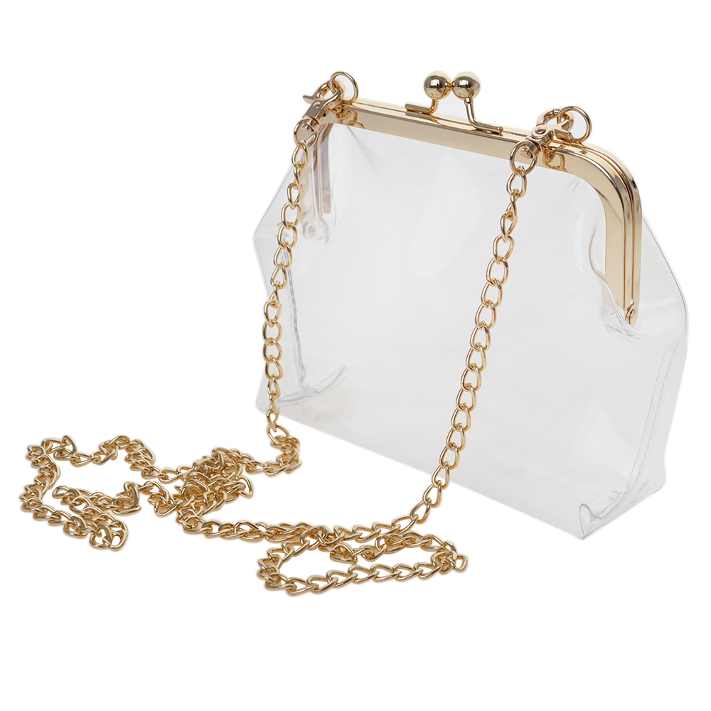 clear crossbody clutch