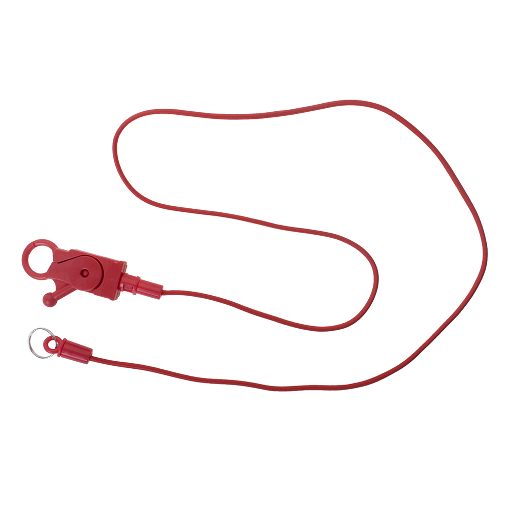 Casino card lanyard