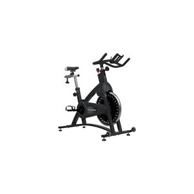 Schwinn Fitness进口代理批发 施文IC经典赛