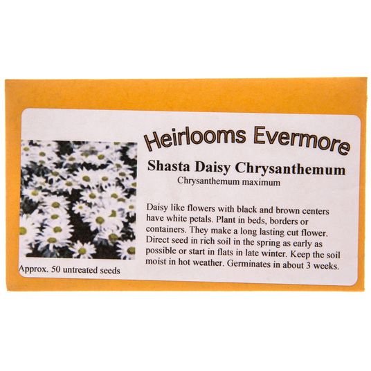 Heirlooms Evermore进口代理批发 传家宝 Evermore 沙斯塔雏菊菊花