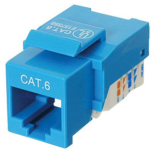 Ziotek进口代理批发 Ziotek CAT6 网络 (RJ45) Keystone 插孔，免工具，蓝色 ZT1800322