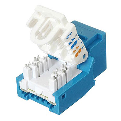 酷牌库|商品详情-Ziotek进口代理批发 Ziotek CAT6 网络 (RJ45) Keystone 插孔，免工具，蓝色 ZT1800322