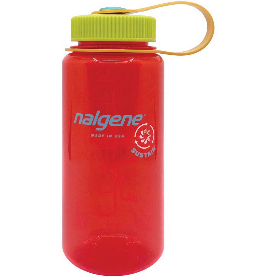 NALGENE进口代理批发 NALGENE 广口 16 盎司延音瓶