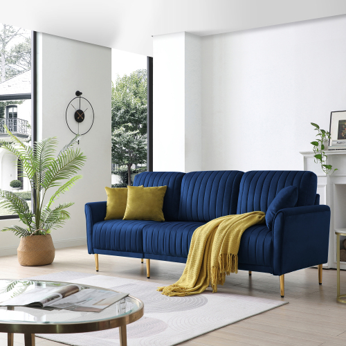 Blue Sofa with Blue Seat Cushions - Contemporary - Living Room