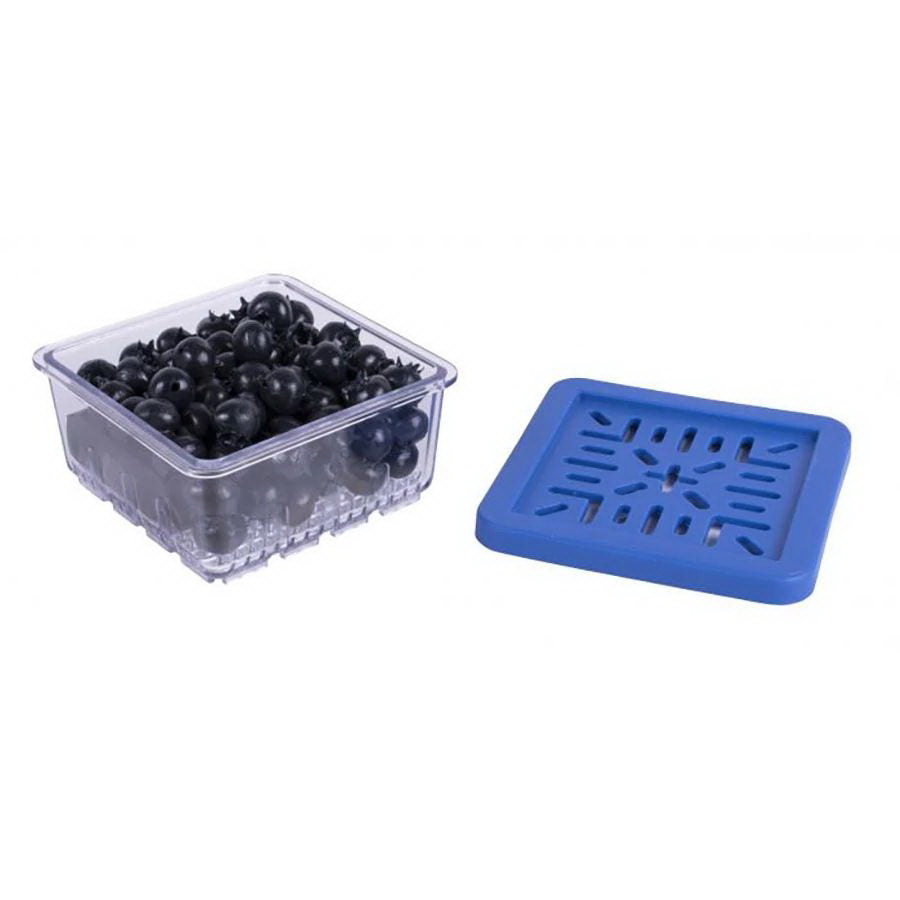 HIC进口代理批发 HIC Kitchen BerryFresh 农产品盒半品脱 1.875"x 3.5"