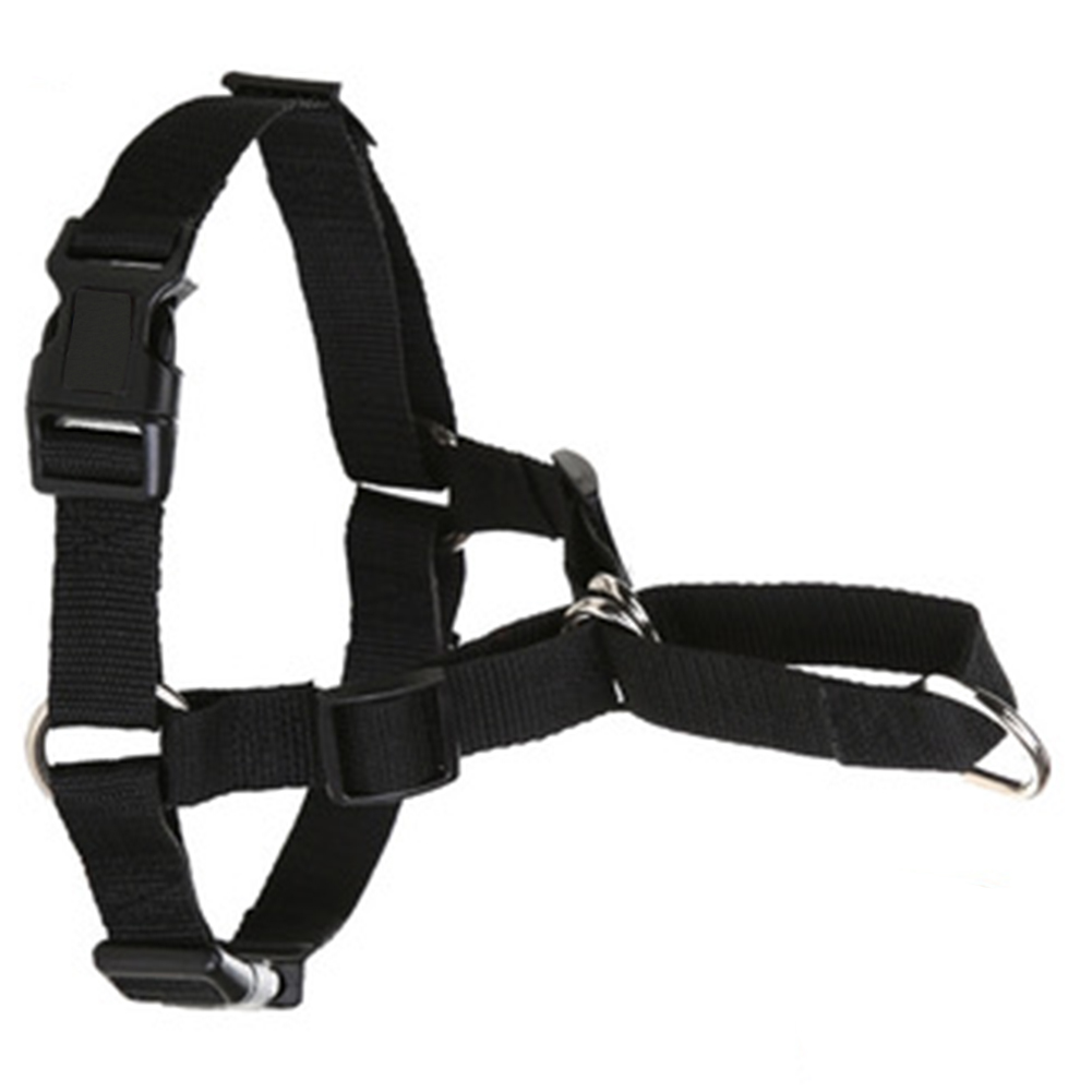 easy walk professional