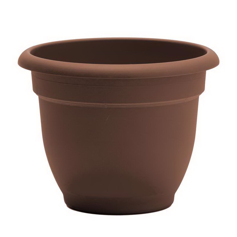 Bloem进口代理批发 Bloem 20-56312CH ARIANA 10.25英寸HX 13英寸W树脂传统种植者巧克力