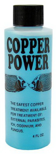 Copper Power进口代理批发 铜电力船用铜处理