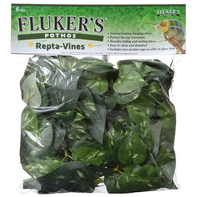 Fluker's进口代理批发 Flukers Pothos Repta-Vines，6 英尺长，51015