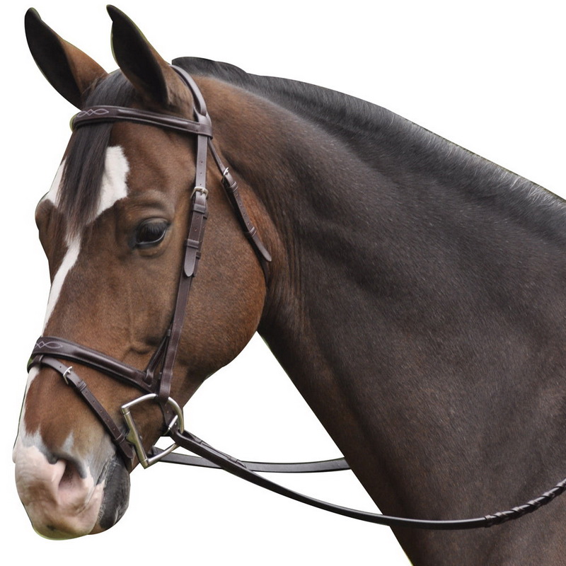 Exselle NEW Elite Plain Raised Event Bridle with Flash and Web Reins 