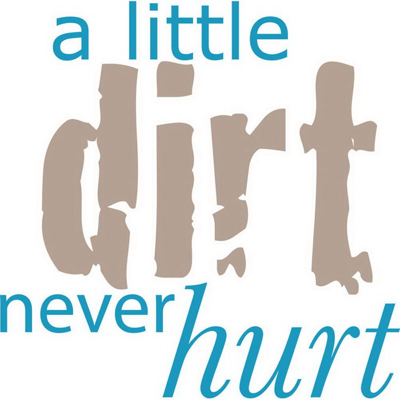 Sound Equine进口代理批发 Sound Equine T 恤“A Little Dirt Never Hurt”