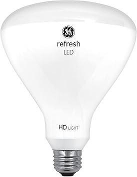 酷牌库|商品详情-GE进口代理批发 GE Refresh LED 灯泡，65 瓦，日光，BR40 室内泛光灯（2 件装）