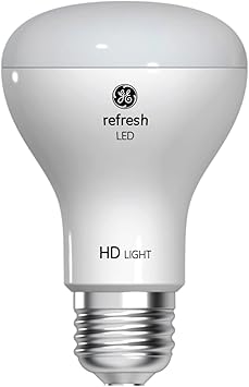 酷牌库|商品详情-GE进口代理批发 GE Refresh LED 灯泡，45 瓦，日光，R20 泛光灯（1 件装）