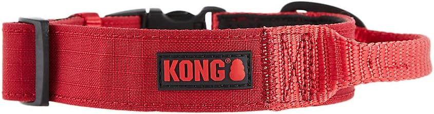 KONG进口代理批发 KONG 超耐用带衬垫舒适手柄狗项圈（大号，红色）