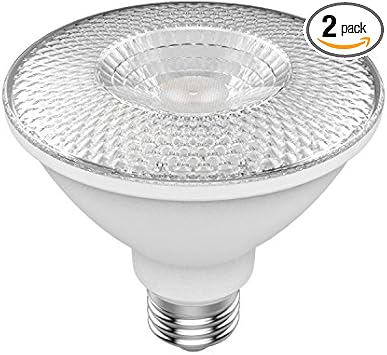 GE进口代理批发 GE Refresh LED 灯泡，75 瓦，日光，PAR30 户外灯泡（2 件装）