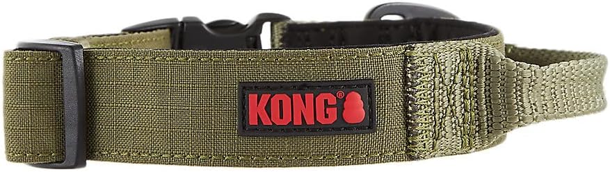 KONG进口代理批发 KONG 超耐用带衬垫舒适手柄狗项圈（大号，绿色）