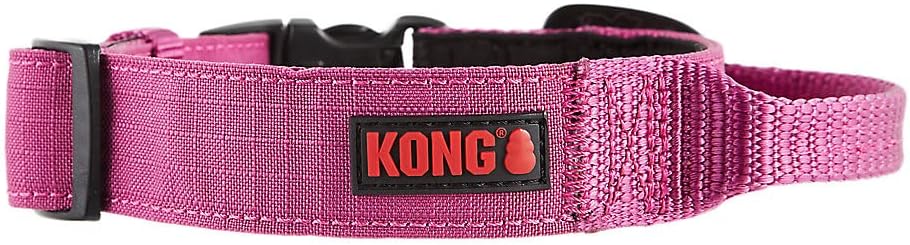 KONG进口代理批发 KONG 超耐用带衬垫舒适手柄狗项圈（中号，粉色）