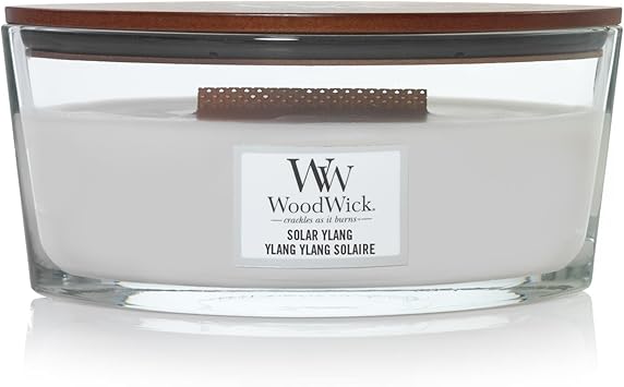 WoodWick进口代理批发 Woodwick 5038581087153 蜡烛，棕色，椭圆形