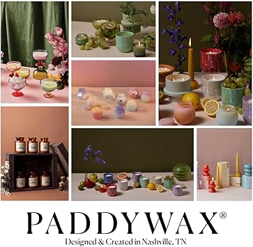 酷牌库|商品详情-Paddywax进口代理批发 Paddywax Folia 大豆蜡香味蜡烛，5 盎司陶瓷罐烛台，栀子花和零陵香豆