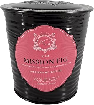 Aquiesse进口代理批发 Aquiesse 精美香味组合锡蜡烛 - Mission Fig 11 盎司