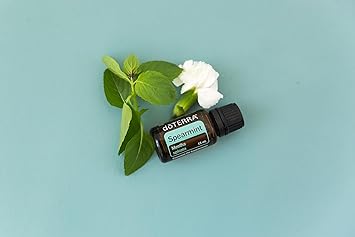 酷牌库|商品详情-doTERRA进口代理批发 doTERRA - 留兰香精油 - 15 mL