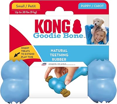 酷牌库|商品详情-KONG进口代理批发 Kong Puppy Goodie 骨狗玩具，中号，颜色多样