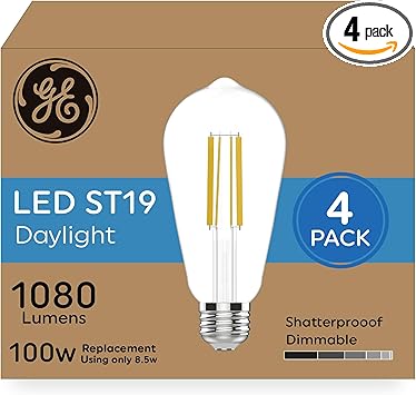 GE进口代理批发 GE 超亮 LED 灯泡，100 瓦当量，日光，ST19 爱迪生风格灯泡（4 件装）