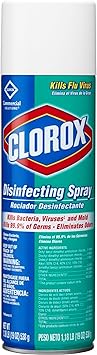 Clorox进口代理批发 Clorox 消毒喷雾，19 盎司，各 1 件