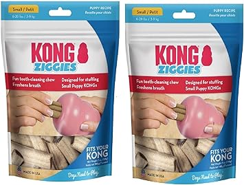 KONG进口代理批发 KONG - Ziggies 小狗小型，2 件装