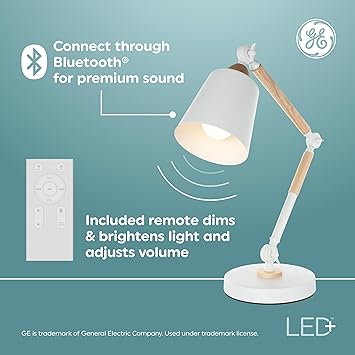 酷牌库|商品详情-GE进口代理批发 GE LED+ PAR38 LED 灯泡，户外变色无线蓝牙扬声器泛光灯，带遥控器，14W，多色 + 暖白色（1 件装）