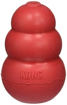 KONG进口代理批发 KONG 经典中号狗狗玩具红色中号 2 件装