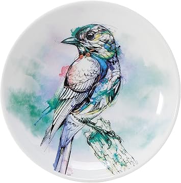 Enesco进口代理批发 Enesco Izzy 和 Oliver Watercolors by Abby Diamond Teal Bird 小开胃盘，6 英寸，多色