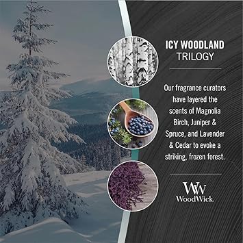 酷牌库|商品详情-WoodWick进口代理批发 WoodWick 大沙漏蜡烛，Icy Woodland - 优质大豆混合蜡，Pluswick 创新木芯，美国制造