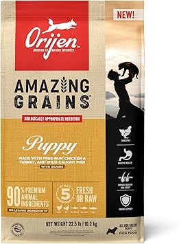 Orijen进口代理批发 ORIJEN AMAZING GRAINS 幼犬干狗粮，高蛋白幼犬狗粮，新鲜或原料，22.5 磅