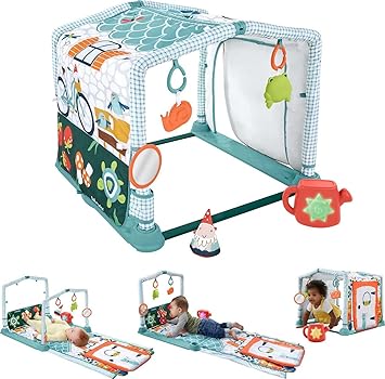 FISHER-PRICE BABY进口代理批发 Fisher-Price 婴儿游戏垫 3 合 1 爬行和游戏活动健身房、带隧道的小屋主题和发育玩具，适合 0 个月以上新生儿