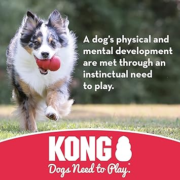 酷牌库|商品详情-KONG进口代理批发 KONG Aqua Floating Fetch Toy - 狗狗漂浮玩具，用于取水、玩耍、锻炼等 - 天然橡胶狗狗玩具，带泡沫内部和绳子，可投掷更远 - 橙色，适合中型犬