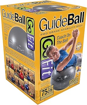 酷牌库|商品详情-GoFit进口代理批发 GoFit ProBall 稳定球 印花健身球，适合瑜伽、锻炼、平衡 - 银色 75 厘米，GF-75PRO